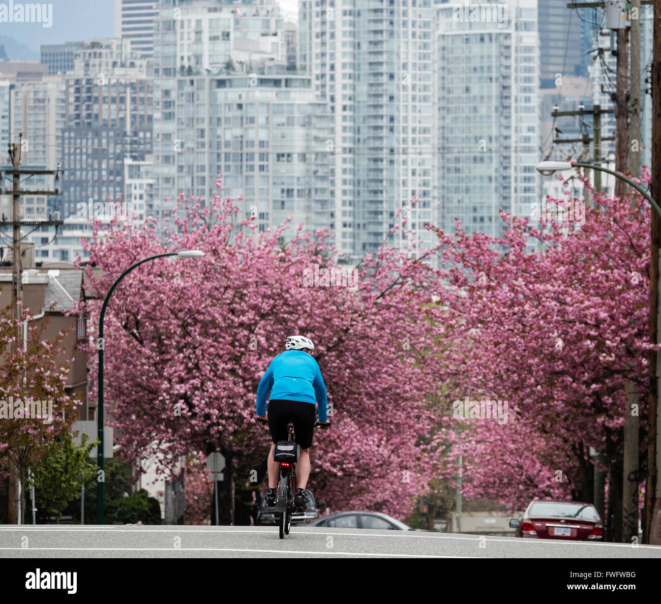 Image showcasing Vancouver Broadway cycling cyclist bike rider riding city street ...