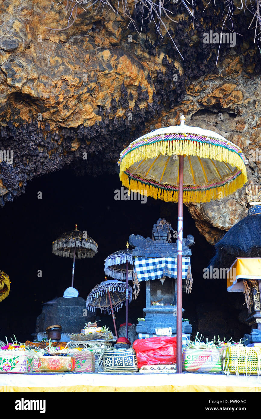 Bats in cave, bat temple Goa Lawah, Bali, Indonesia Stock Photo Alamy