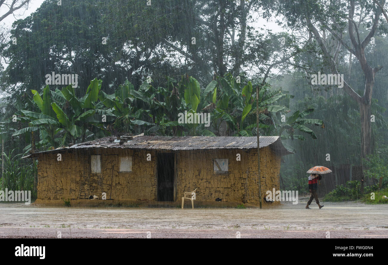 Village of the rainforest in Gabon, Central Africa Stock Photo Alamy