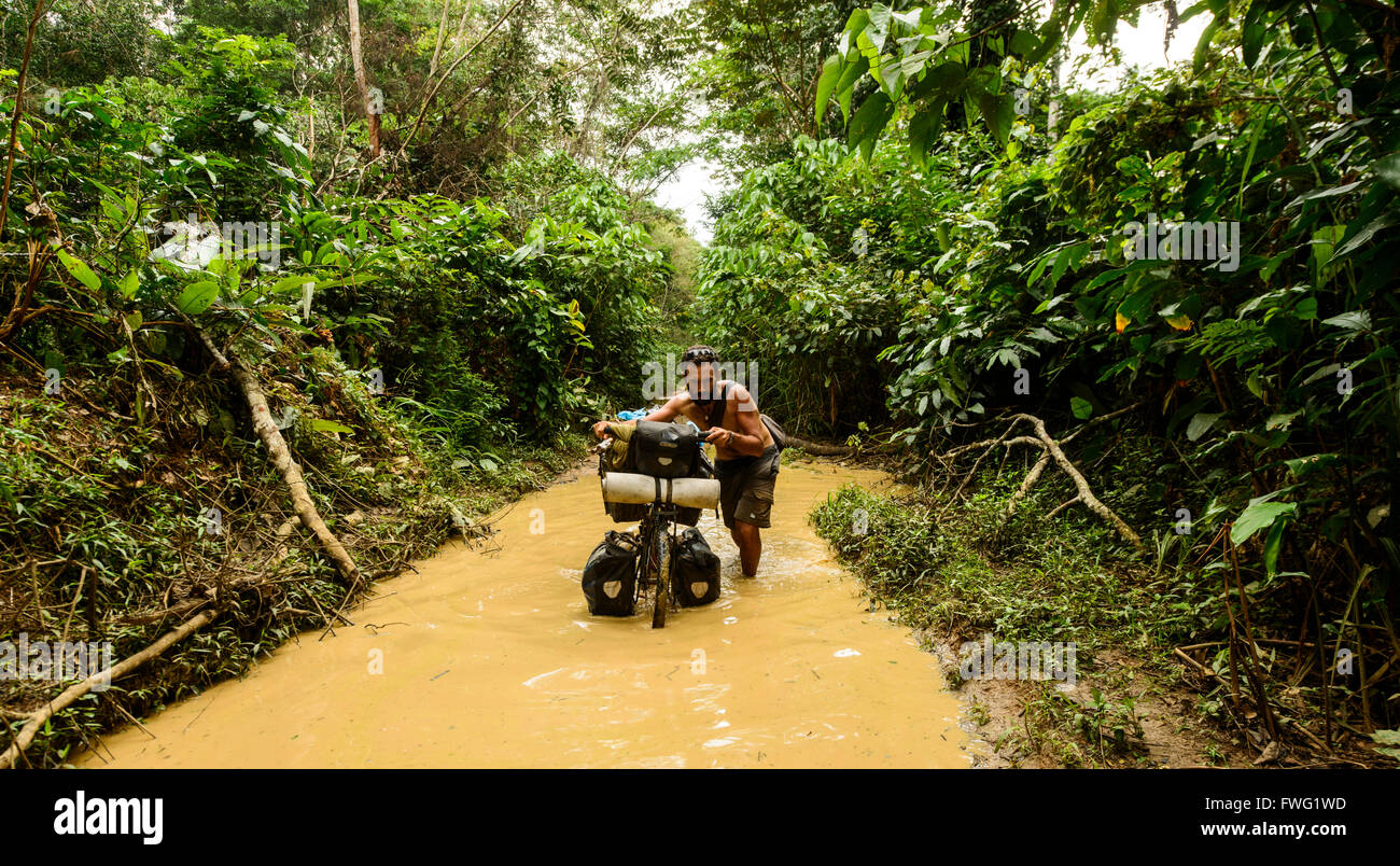 Cycling through the Congolese jungle, Democratic Republic of Congo Stock Photo