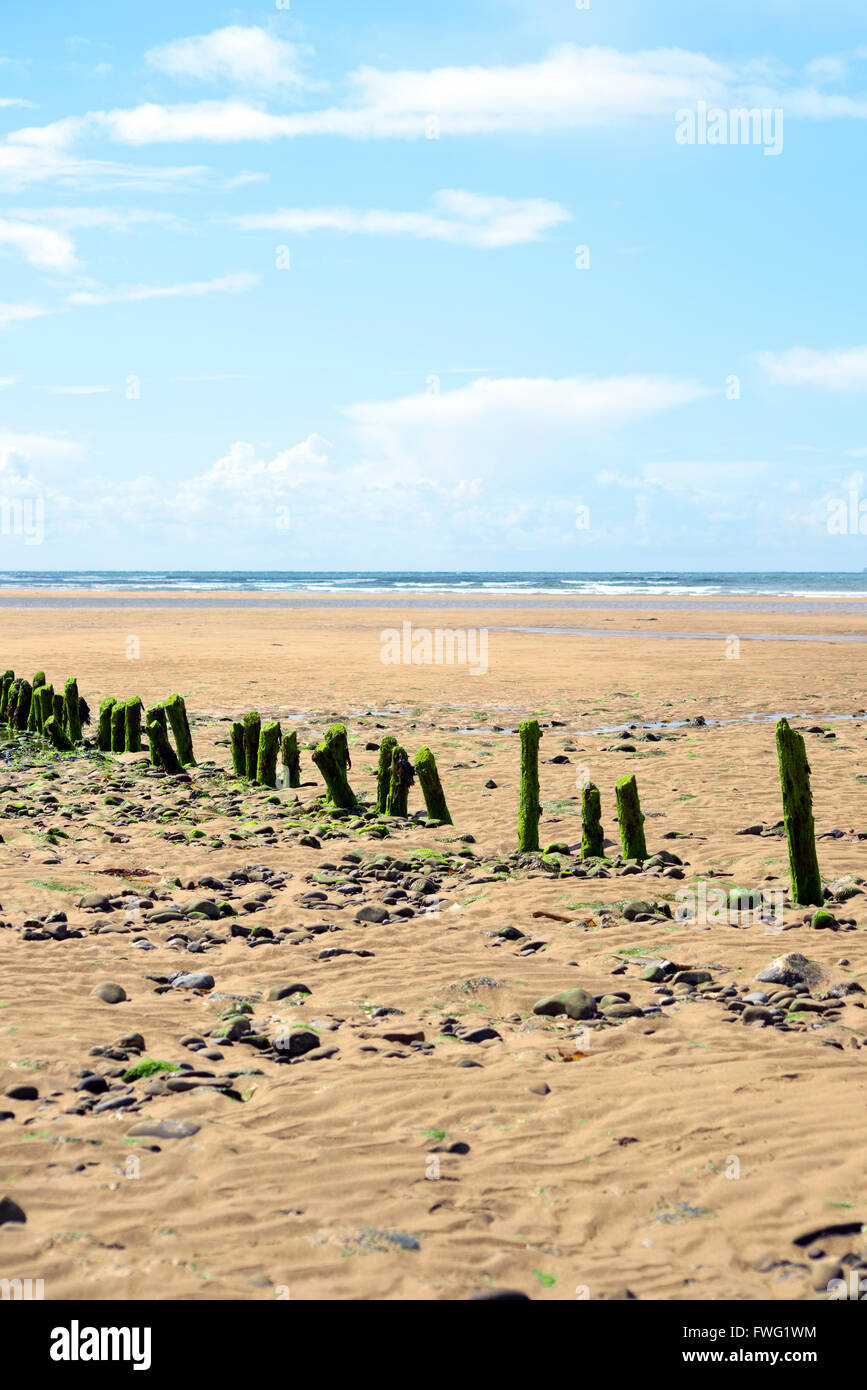 green wave breakers at the mouth of the cashen on ballybunion beach on the wild atlantic way Stock Photo