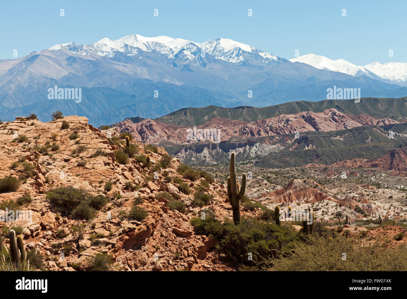 Typical landscape of the Andes,  Argentina Stock Photo