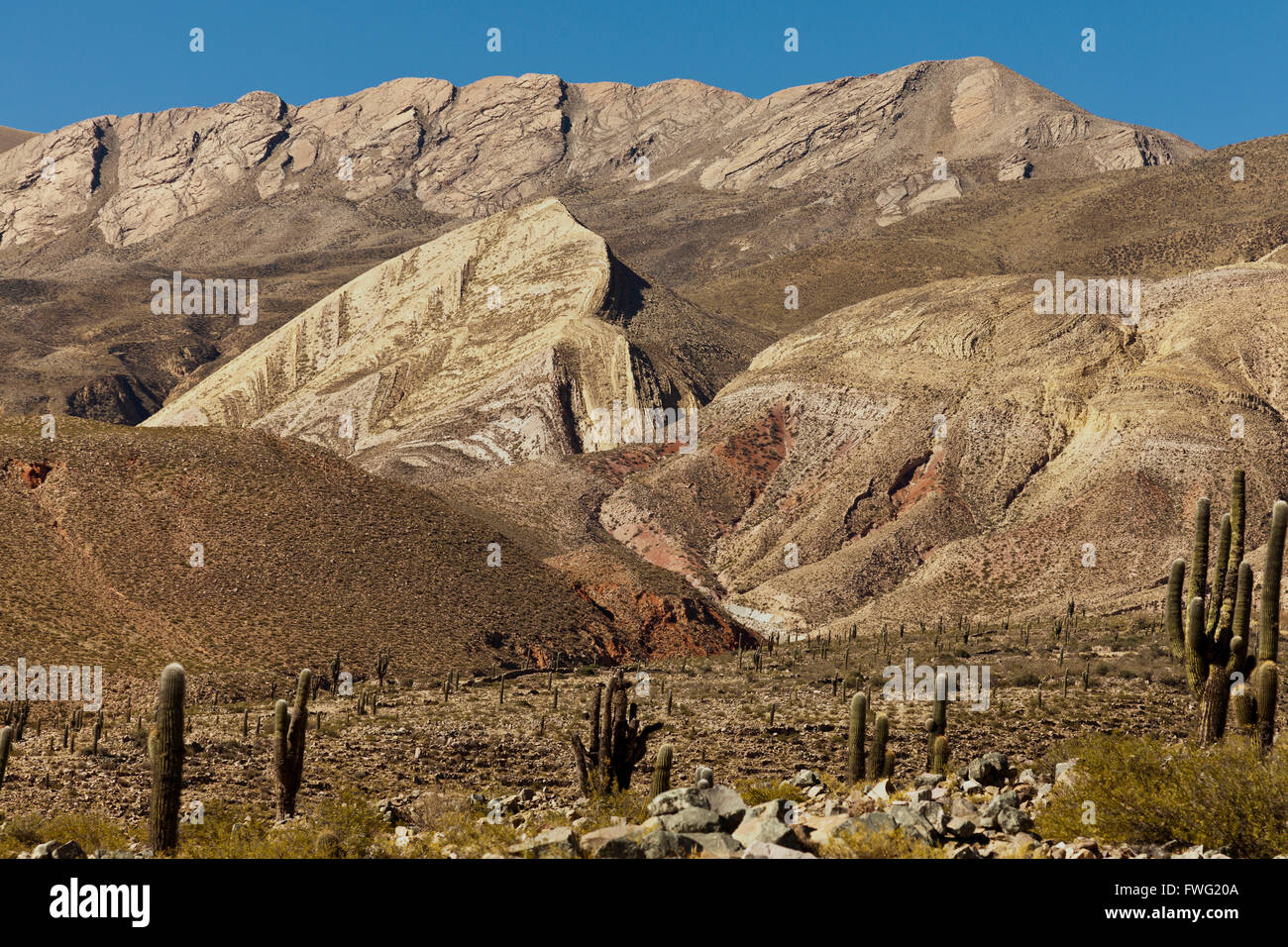 Typical Andean landscape, Tilcara, Argentina Stock Photo