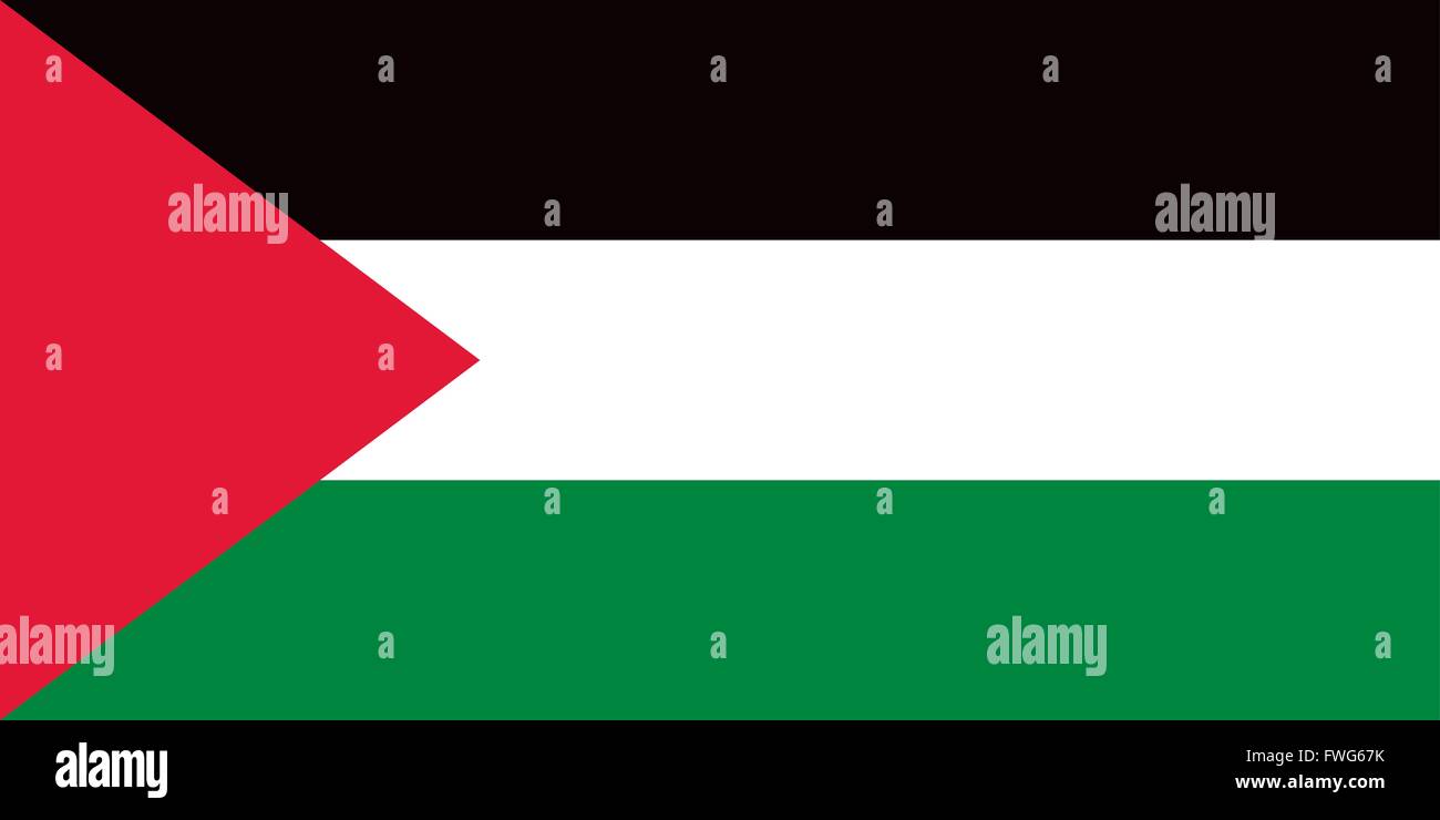 Palestine flag Stock Vector