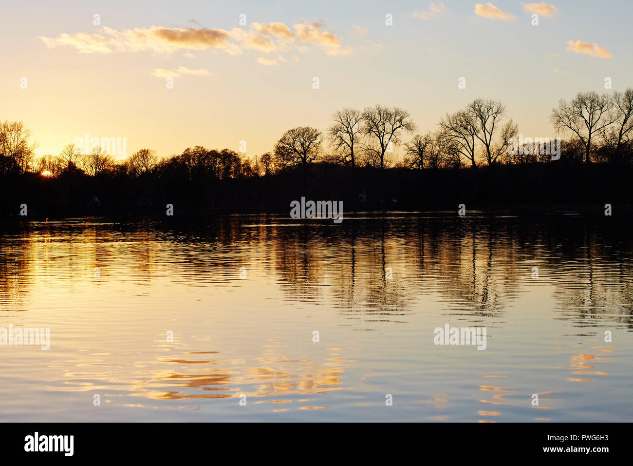 View of trees by the lake in the grounds of Wollaton Hall, Nottingham, England, UK. Stock Photo