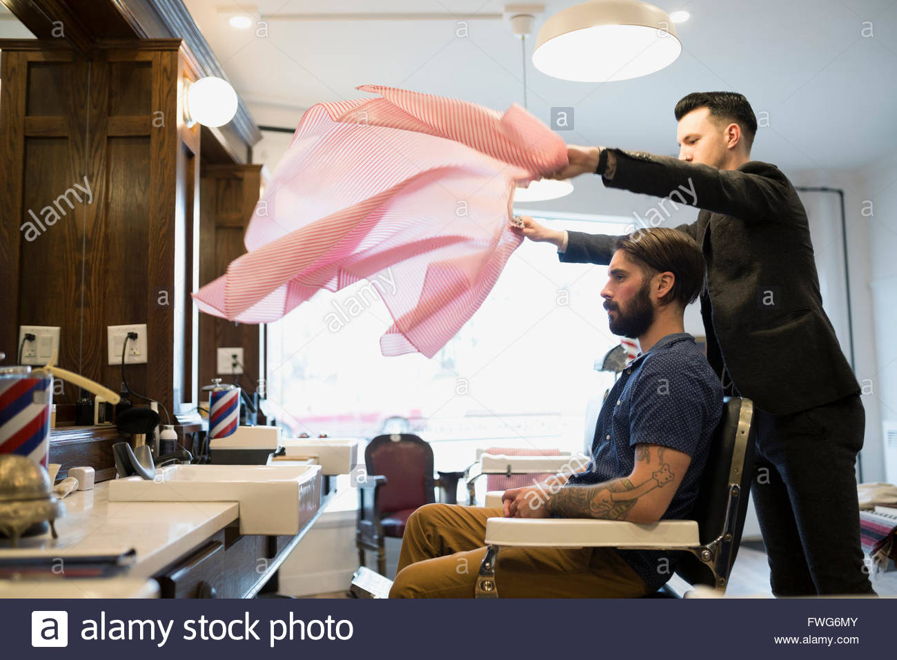 Barber flipping smock over customer in barber shop Stock Photo