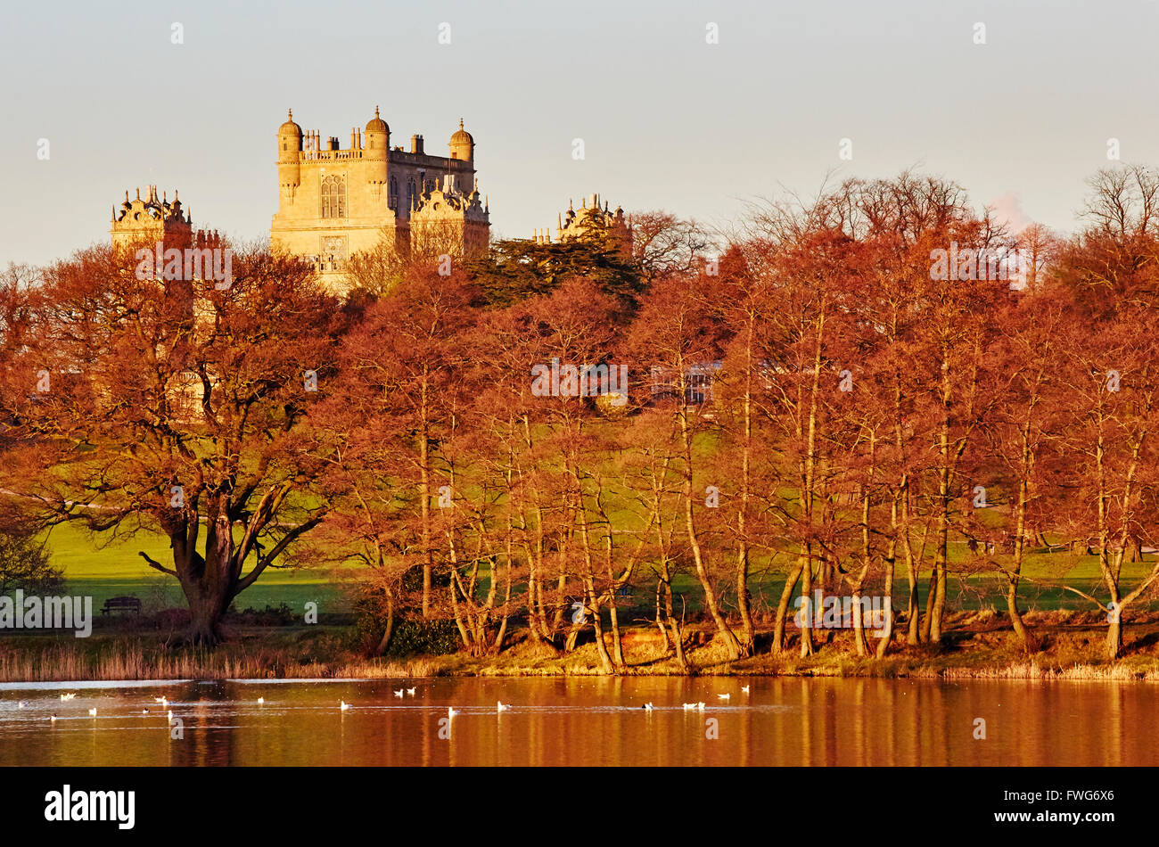 View of Wollaton Hall from the lake in the grounds, Nottingham, England, UK. Stock Photo