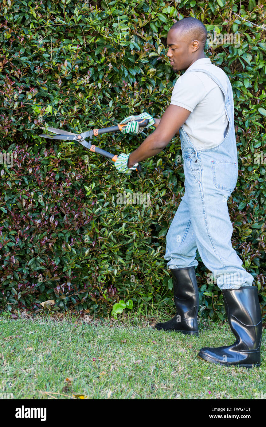 Cutting Grass With Scissors High Resolution Stock Photography and