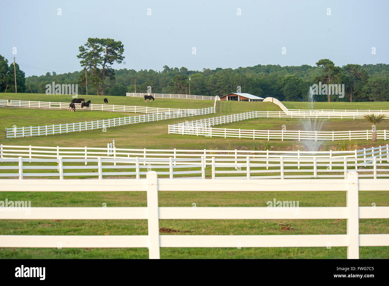 Scenic horse farm, Ocala, FL Stock Photo Alamy