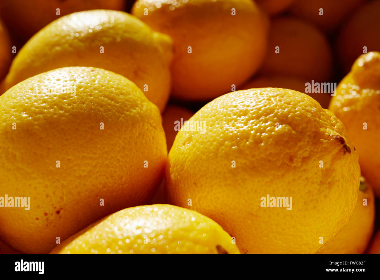 fresh, local lemons on sale at the Phoenix, Arizona farmer's market Stock Photo