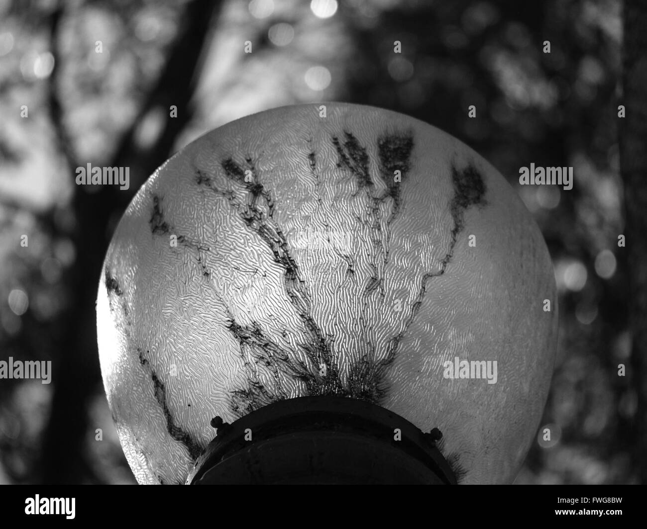 Closeup of a Vintage Street Light in Los Angeles Stock Photo Alamy