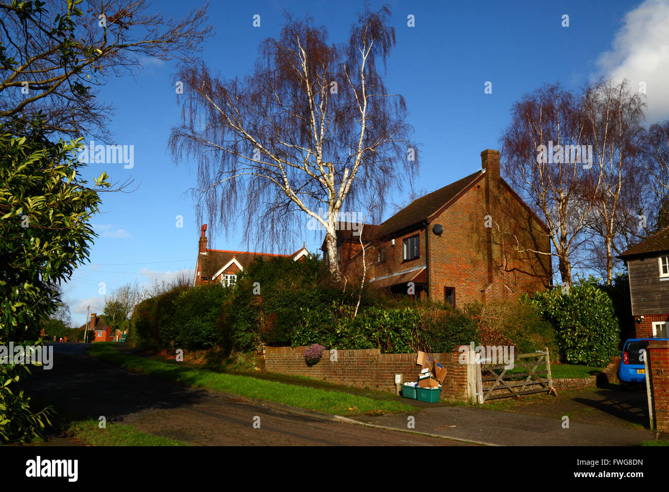 Bins with cardboard for recycling awaiting collection outside house on