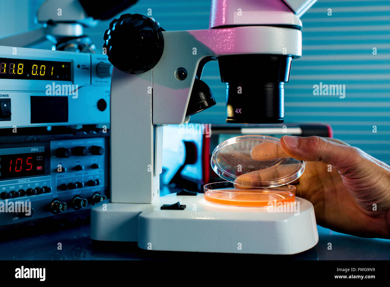 Person Looking At Bacteria Under A Laboratory Microscope Stock Photo Alamy