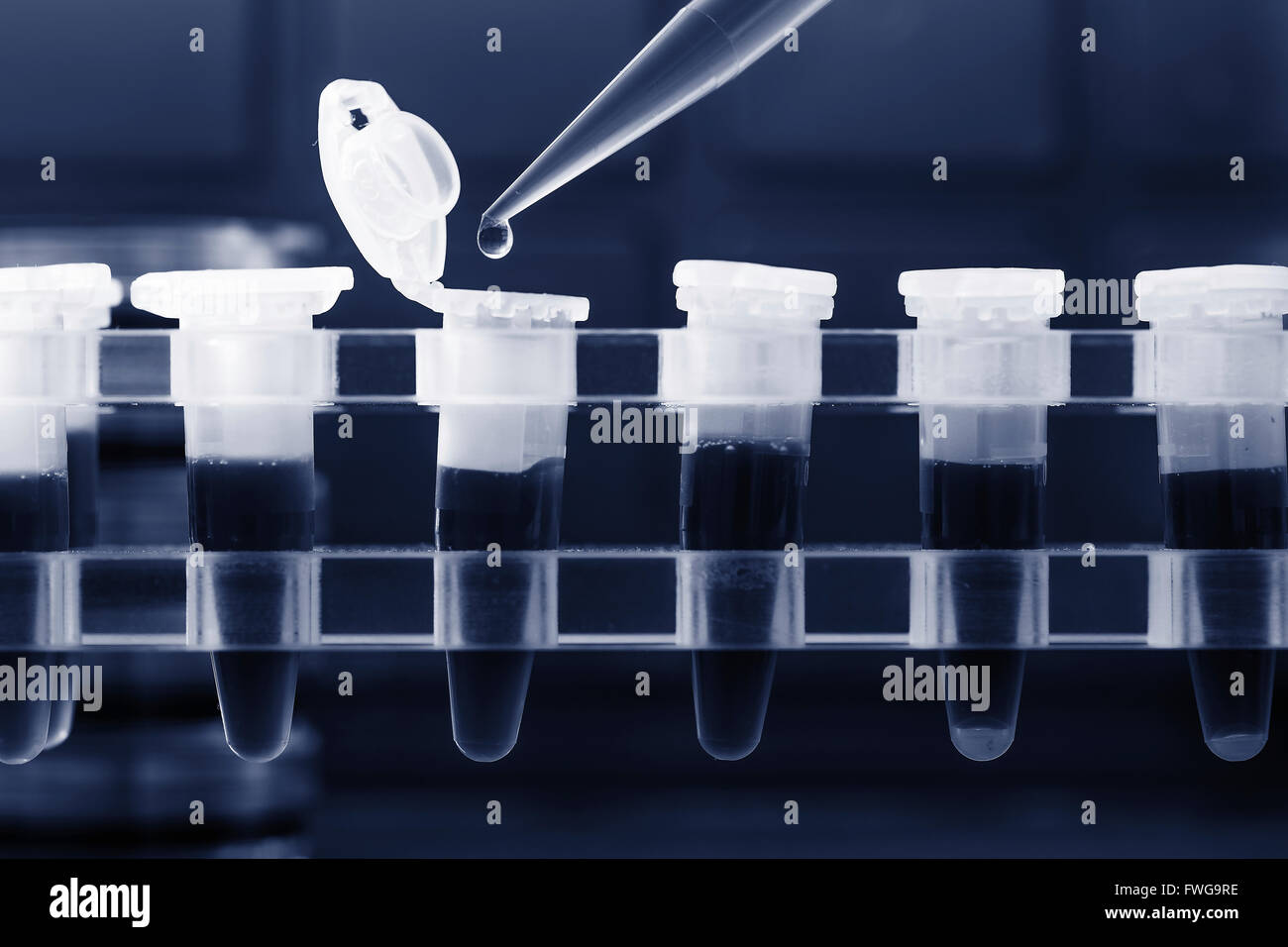 chain reaction inner tubes