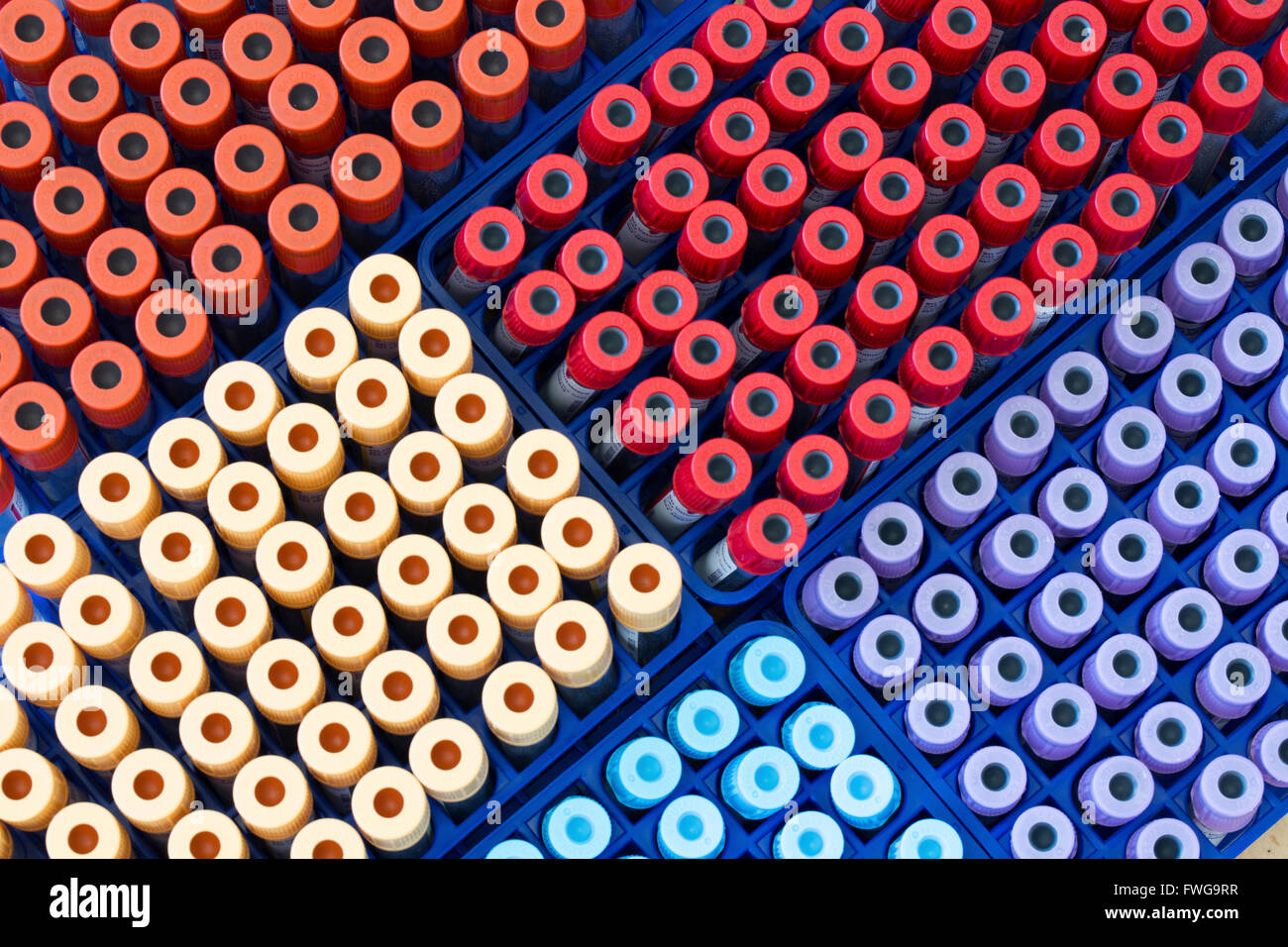 Vacutainer tubes for collecting blood samples Stock Photo Alamy