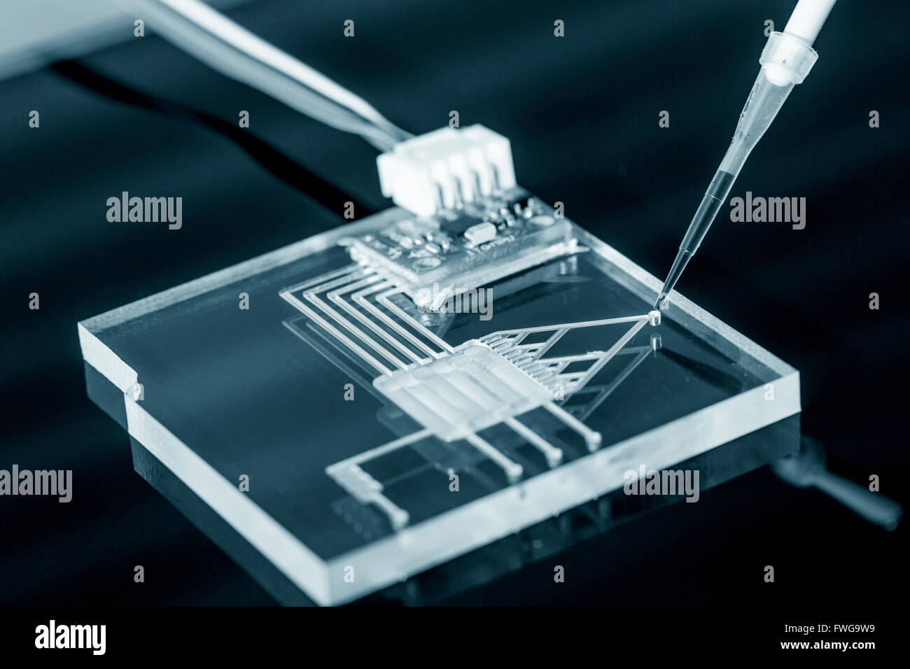 Lab on a chip (LAC) technology with a pipette Stock Photo 101777237
