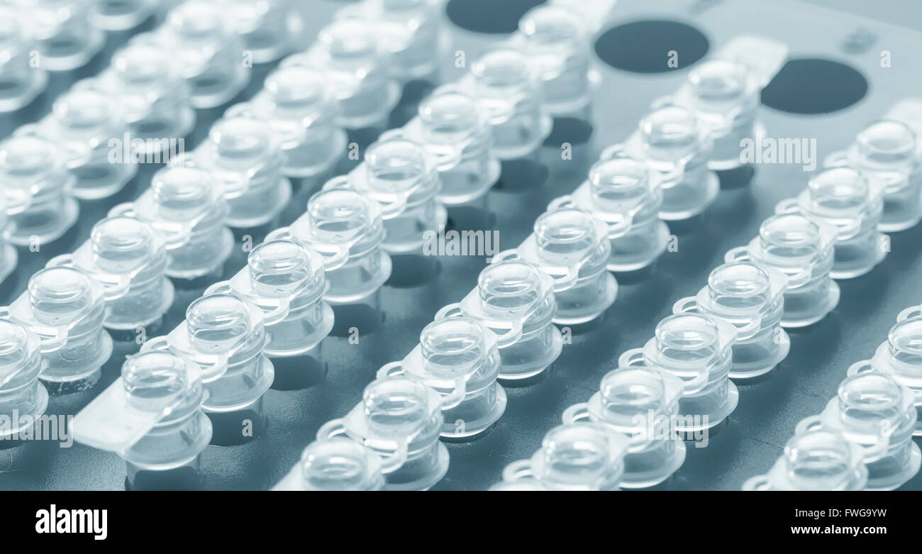 Eppendorf tubes in a rack Stock Photo Alamy