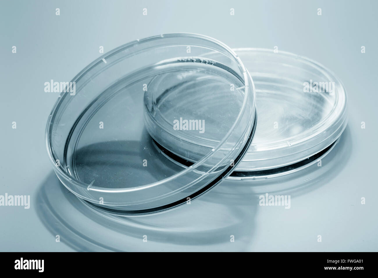 Empty petri dishes Stock Photo Alamy