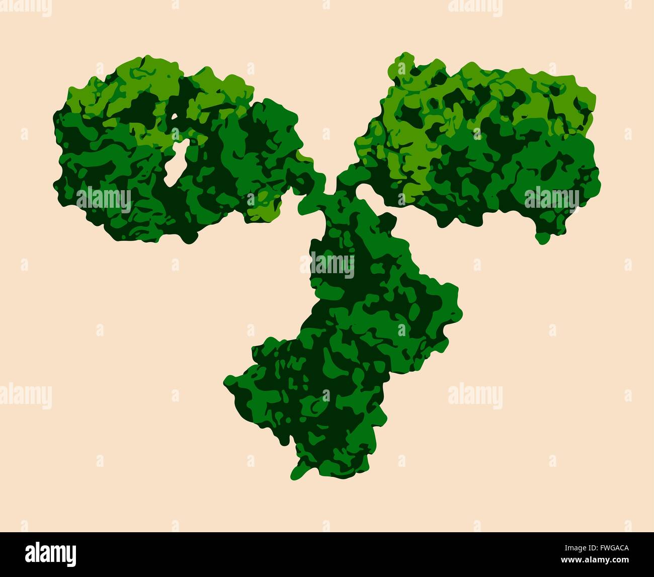 IgG2a monoclonal antibody (immunoglobulin). Many biotech drugs are antibodies. Stock Photo