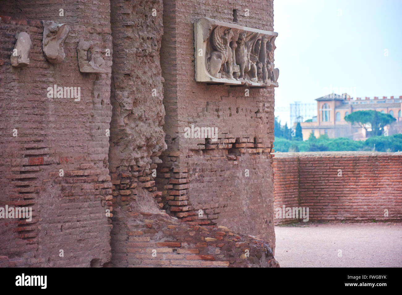 Rome ruins palatine hill pine hi-res stock photography and images - Alamy