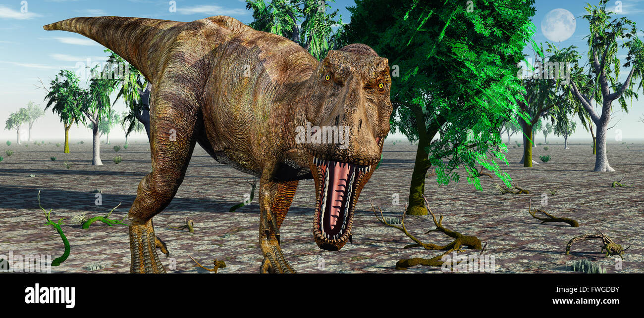 T.Rex ,Tyrannosaurus Confrontation. Stock Photo