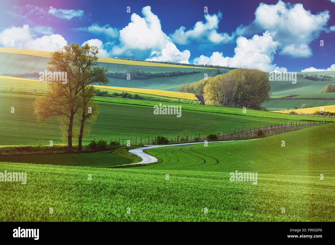 Rural landscape with road Stock Photo - Alamy