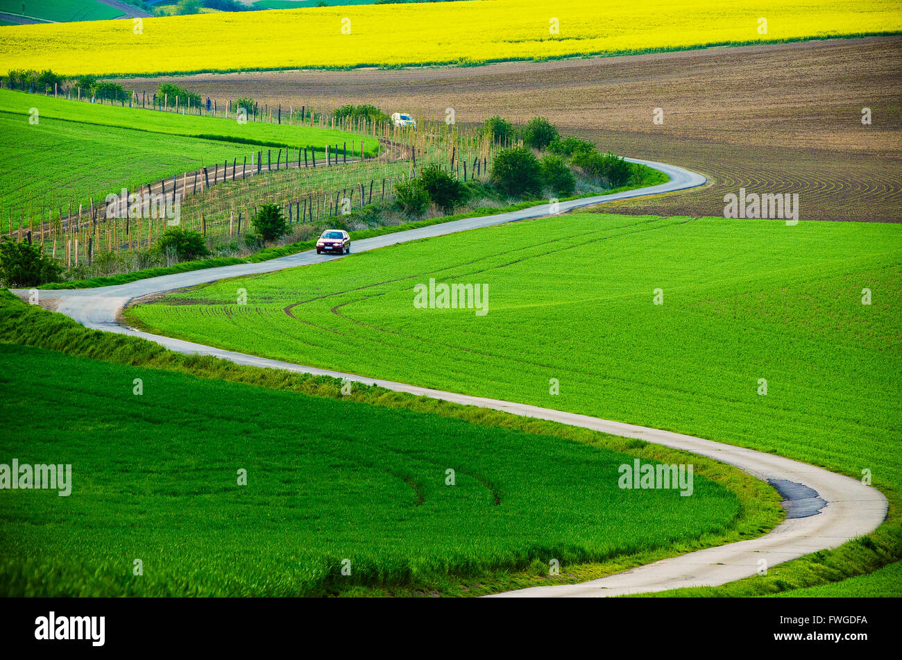 Rural landscape with road Stock Photo - Alamy
