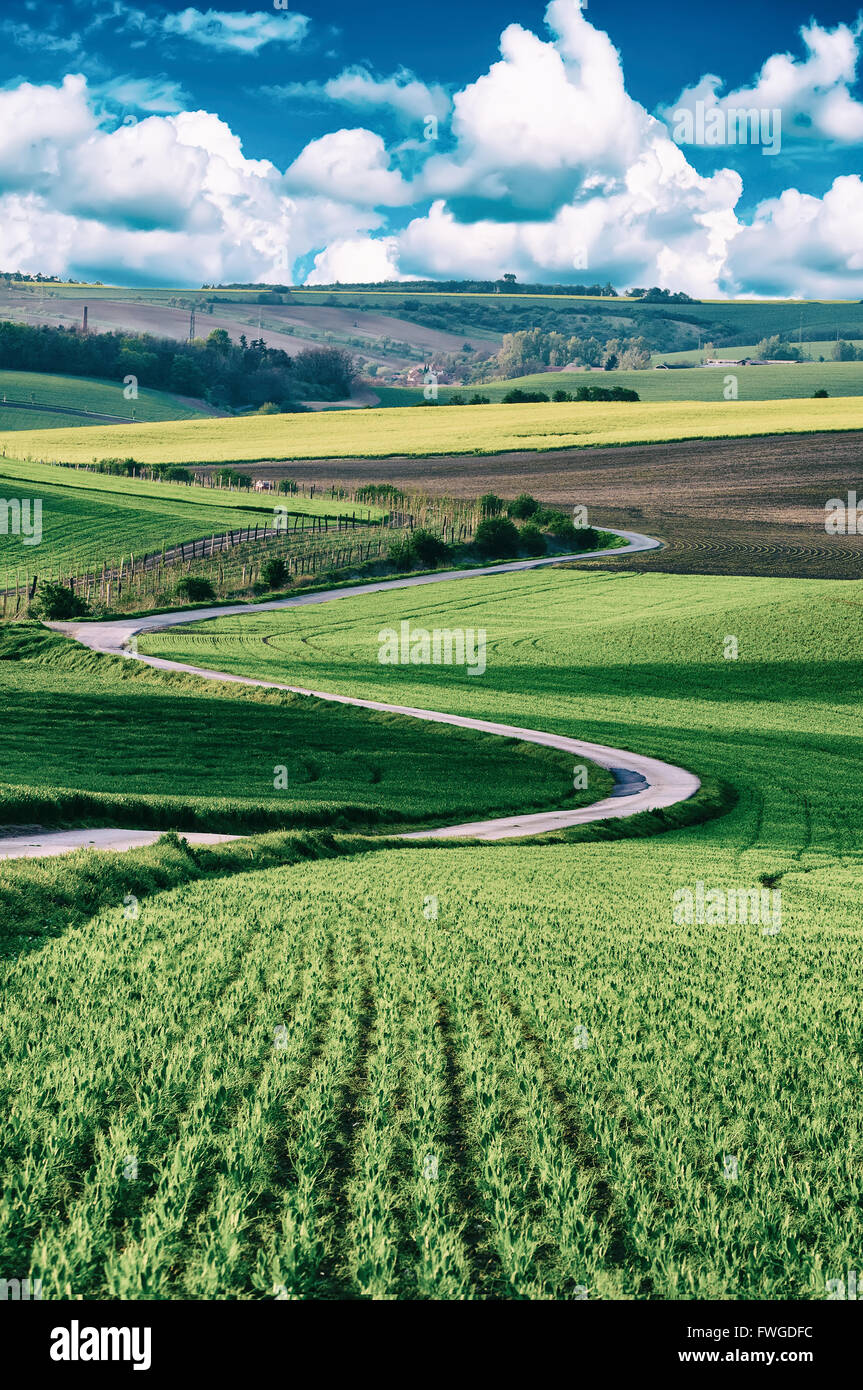Rural landscape with road Stock Photo - Alamy