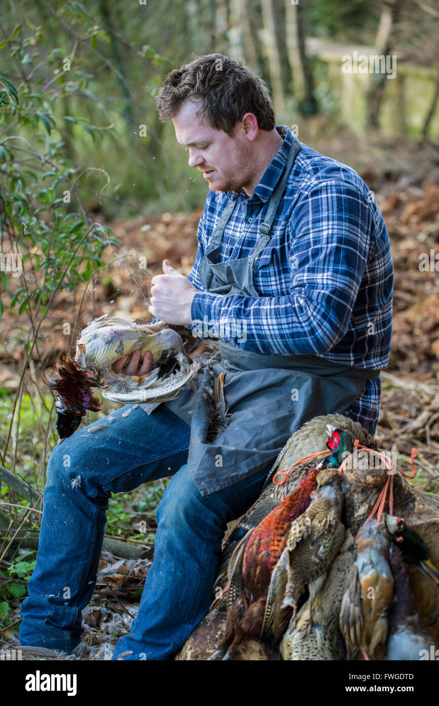 A man sitting on a tree stump plucking feathers from a game bird carcass. Stock Photo