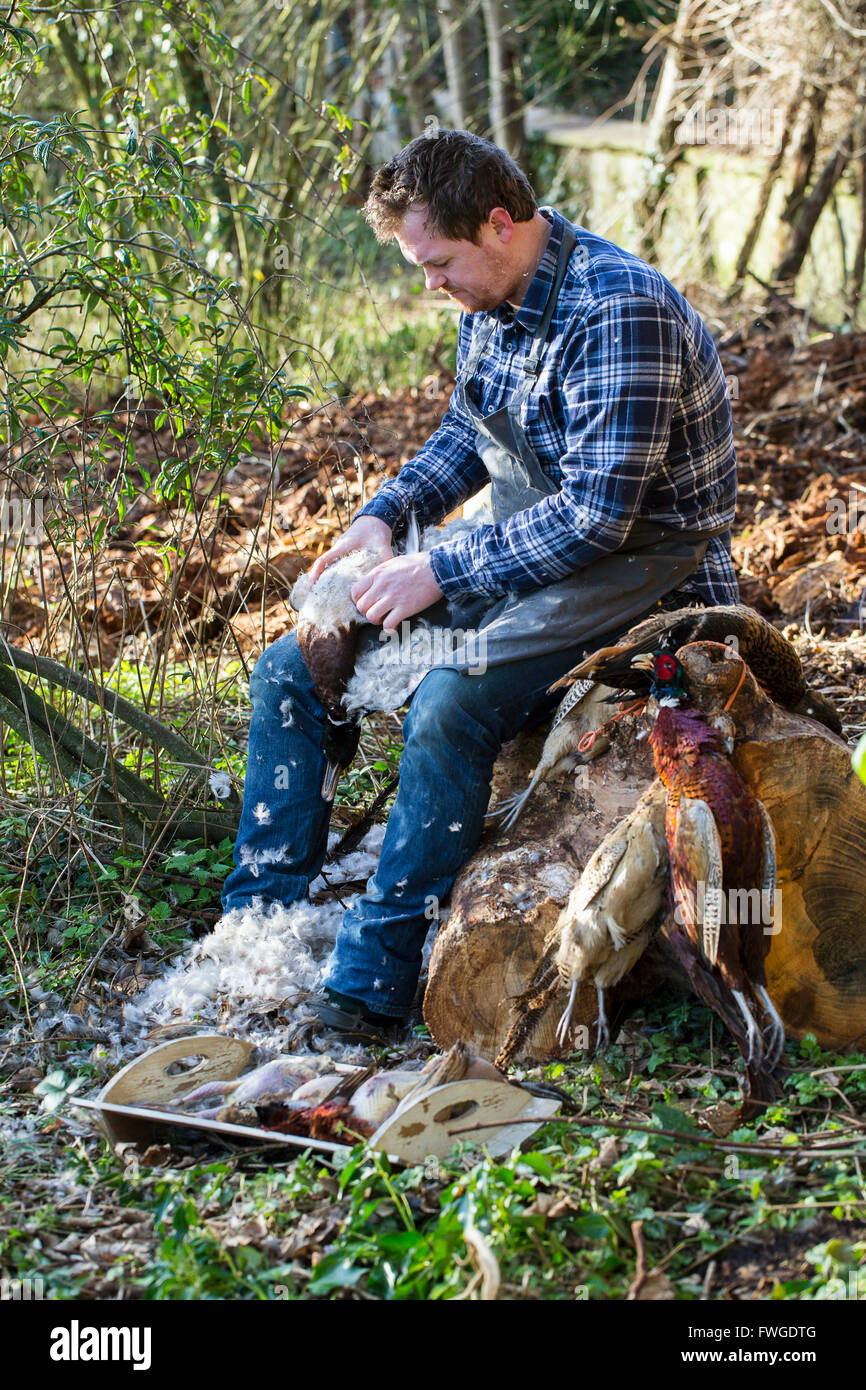 A man sitting on a tree stump plucking feathers from a game bird carcass. Stock Photo