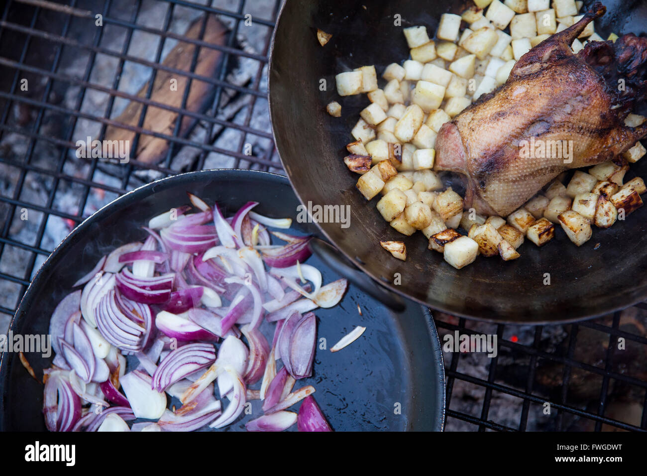 An outdoor cookout, two frying pans with vegetables and a small game bird. Stock Photo