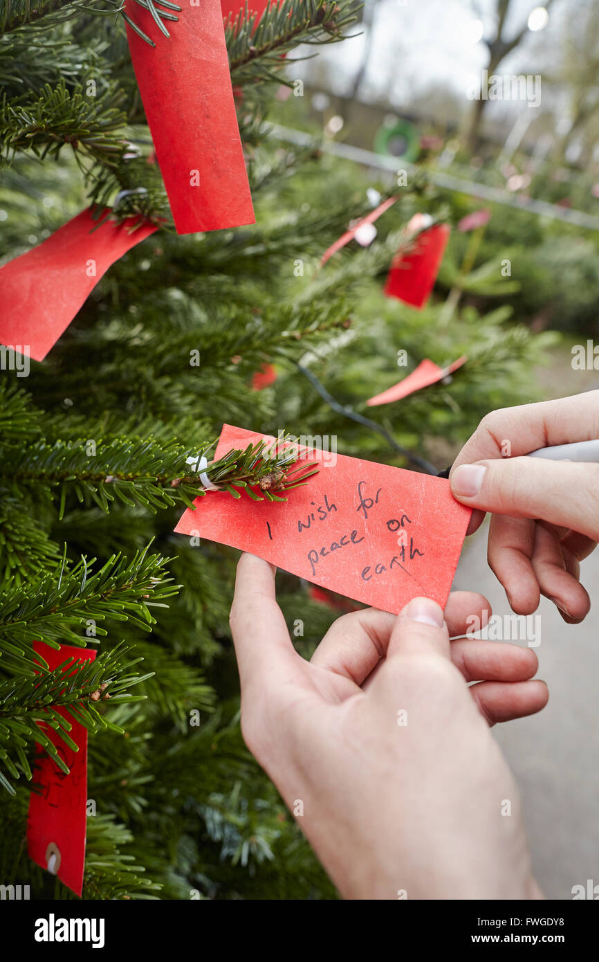 A handwritten label in a Christmas tree, I Wish for World Peace. Stock Photo