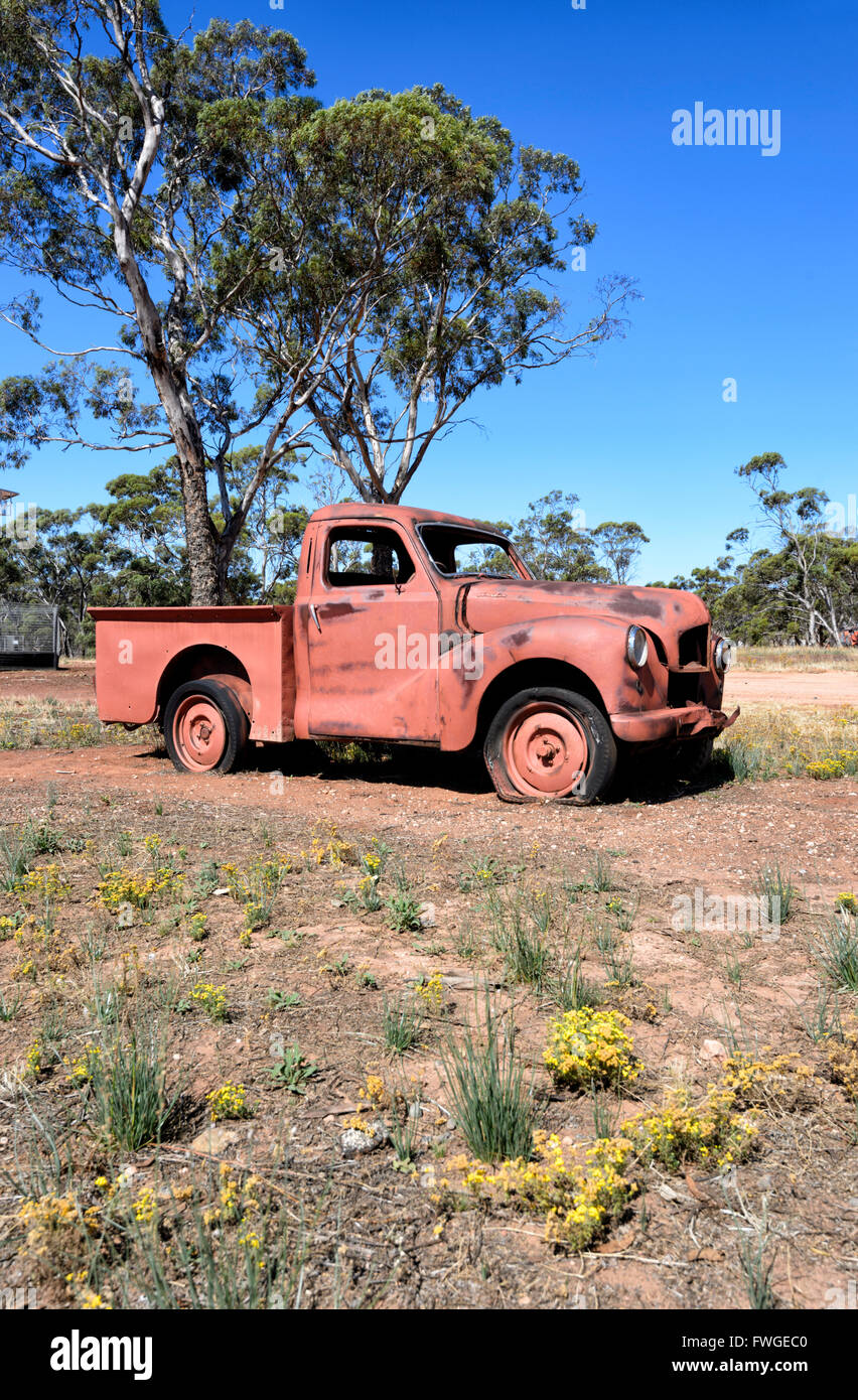 Vintage Austin of England Car abandonned in a homestead, Western Australia, WA, Australia Stock