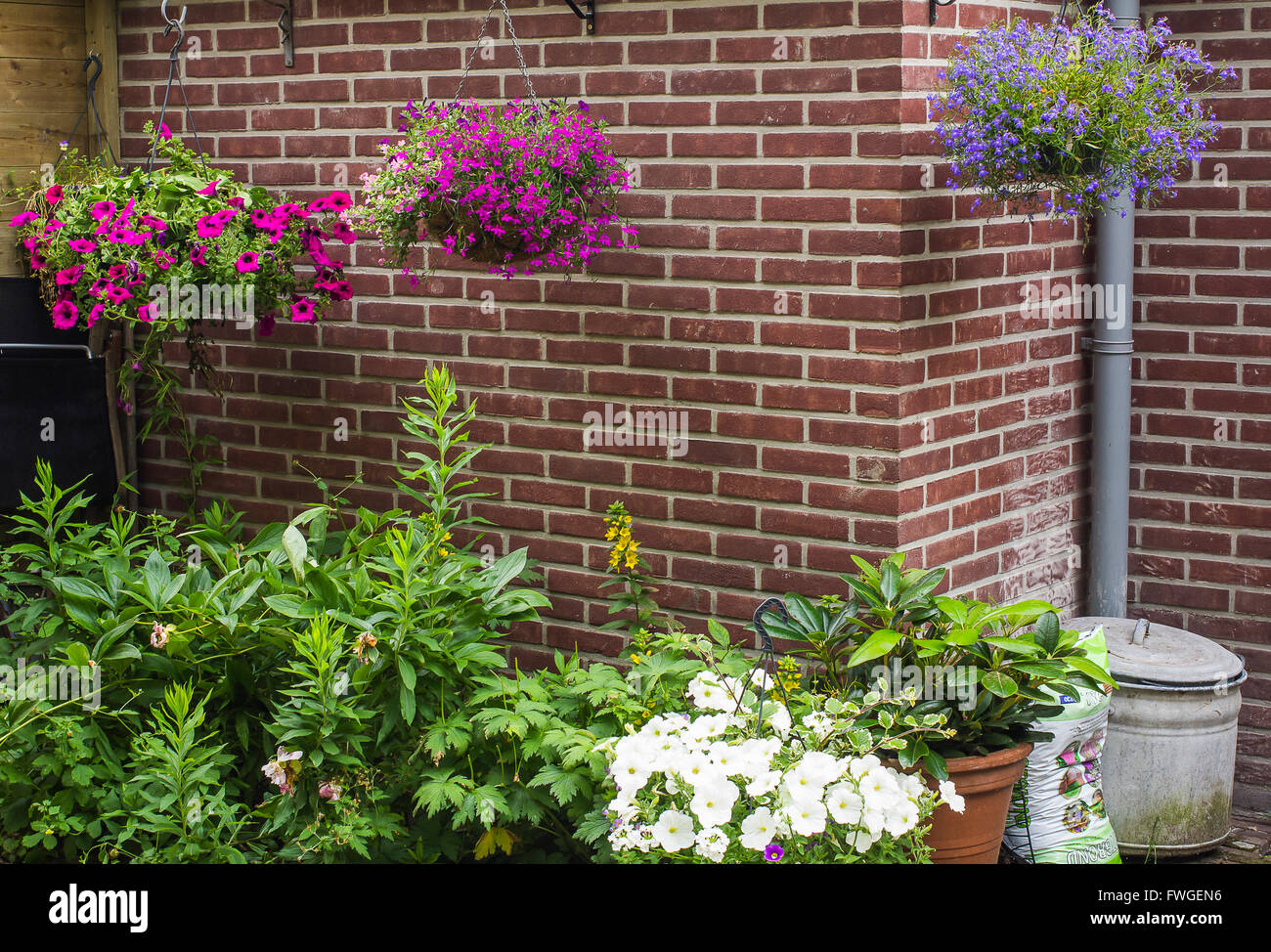 Hanging baskets garden hires stock photography and images Alamy