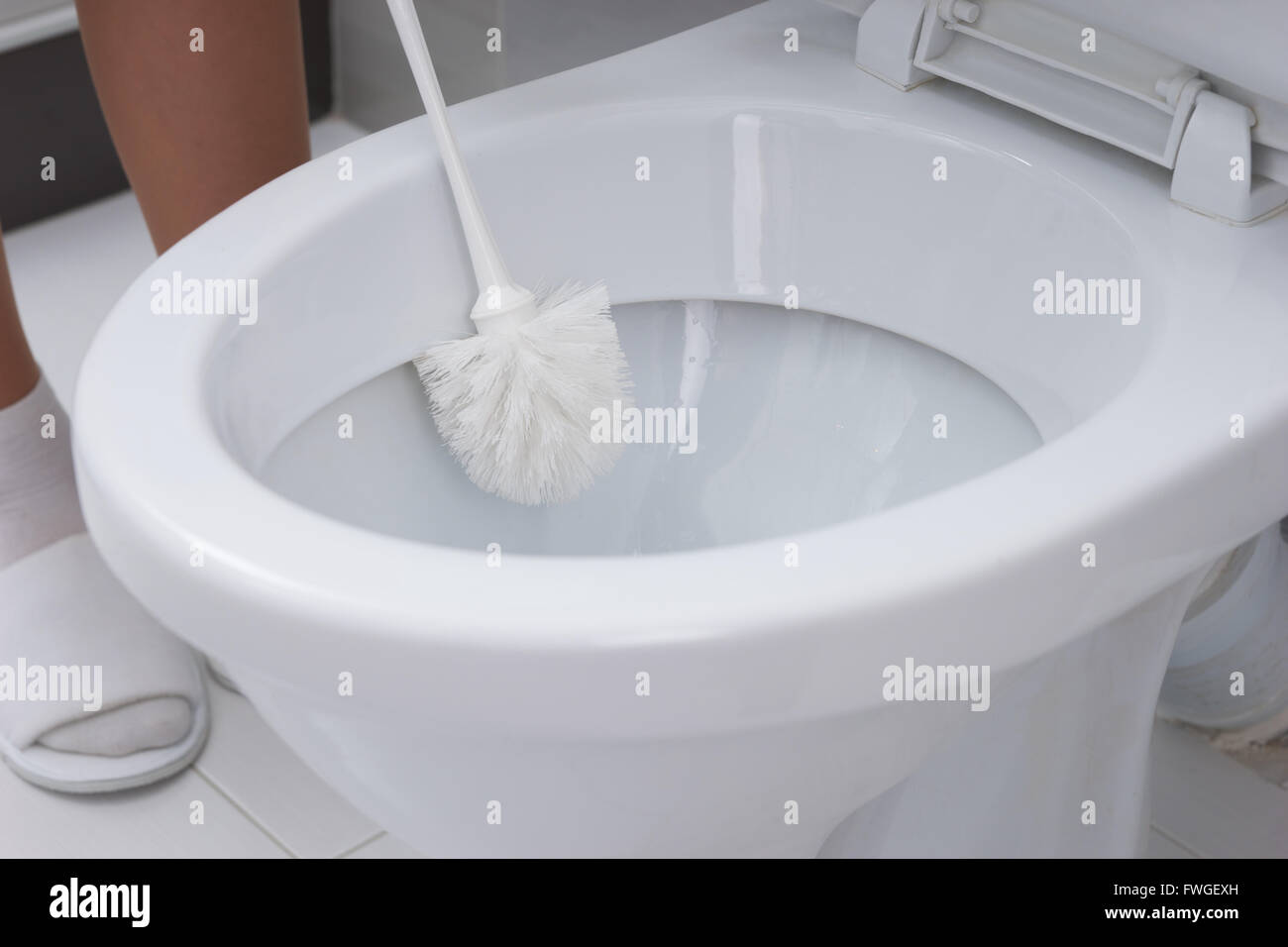 Woman cleaning a toilet bowl with a brush in a close up view conceptual of household hygiene and cleanliness Stock Photo