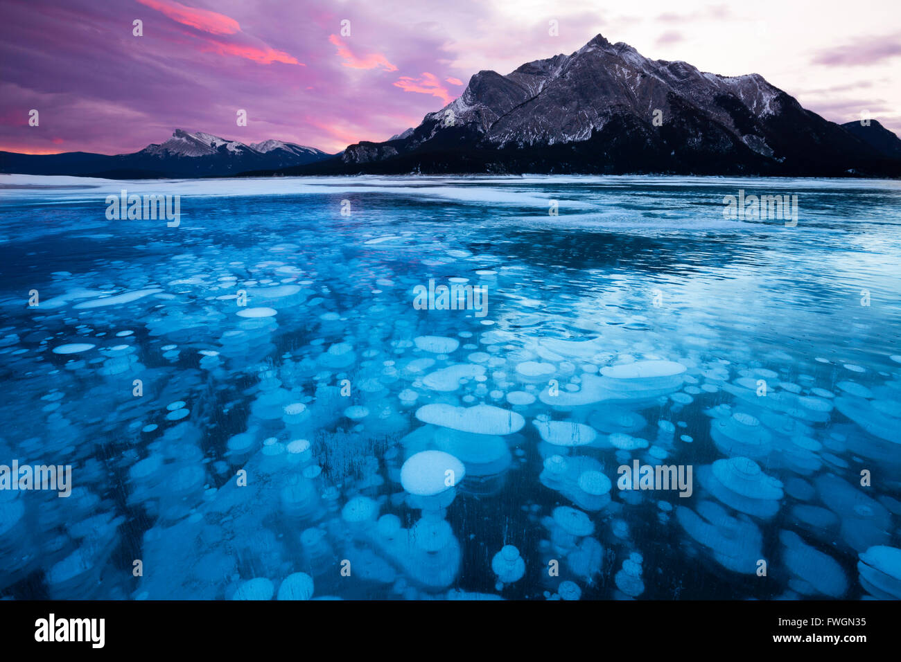 Bubbles and Cracks in the Ice with Mount Michener and Kista Peak in the Background at Sunrise, Abraham Lake, Alberta, Canada Stock Photo
