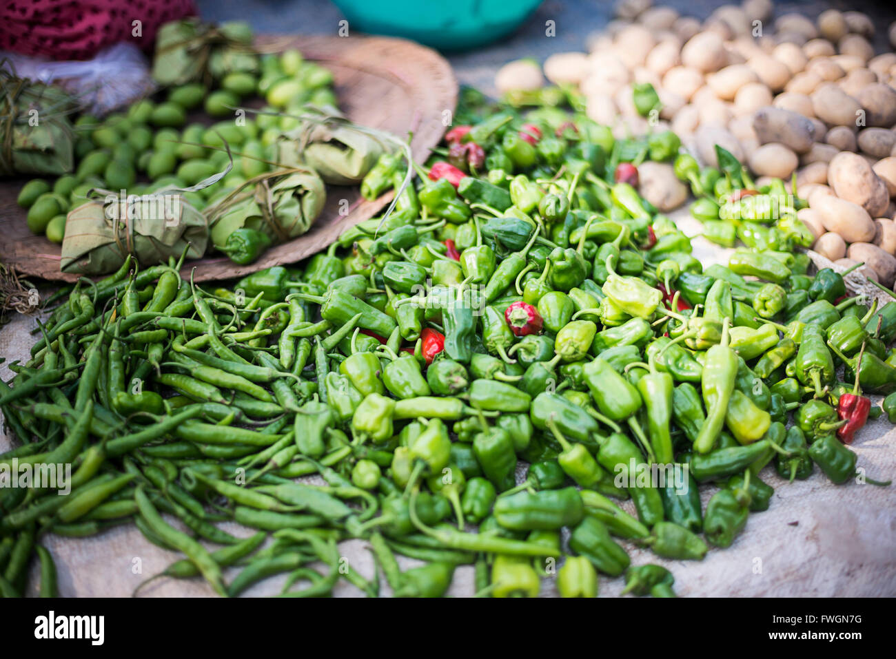 Green chillies at Ywama Village Market, Inle Lake, Shan State, Myanmar (Burma), Asia Stock Photo