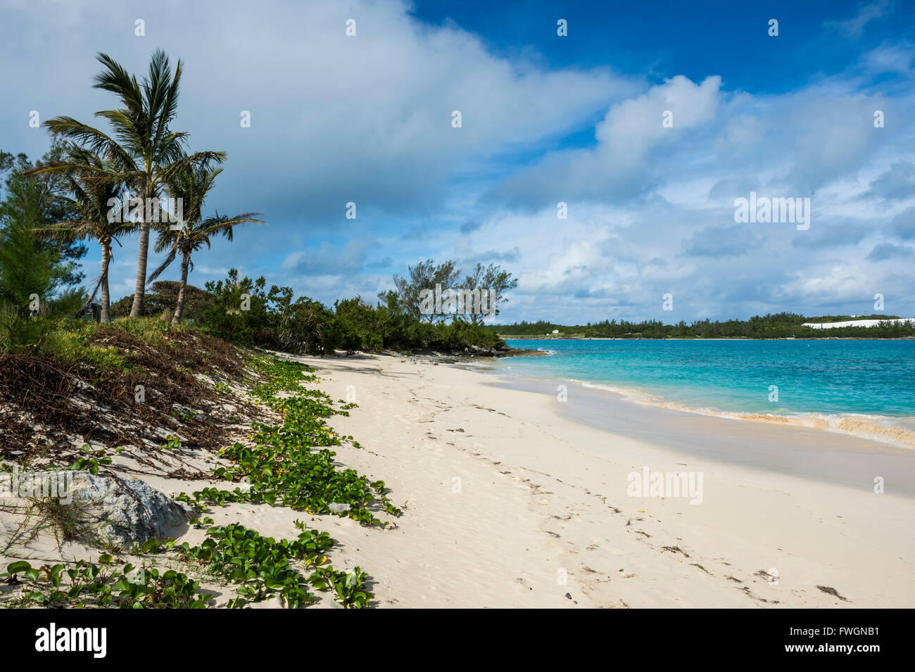 Turtle beach, St. David's island, Bermuda, North America Stock Photo
