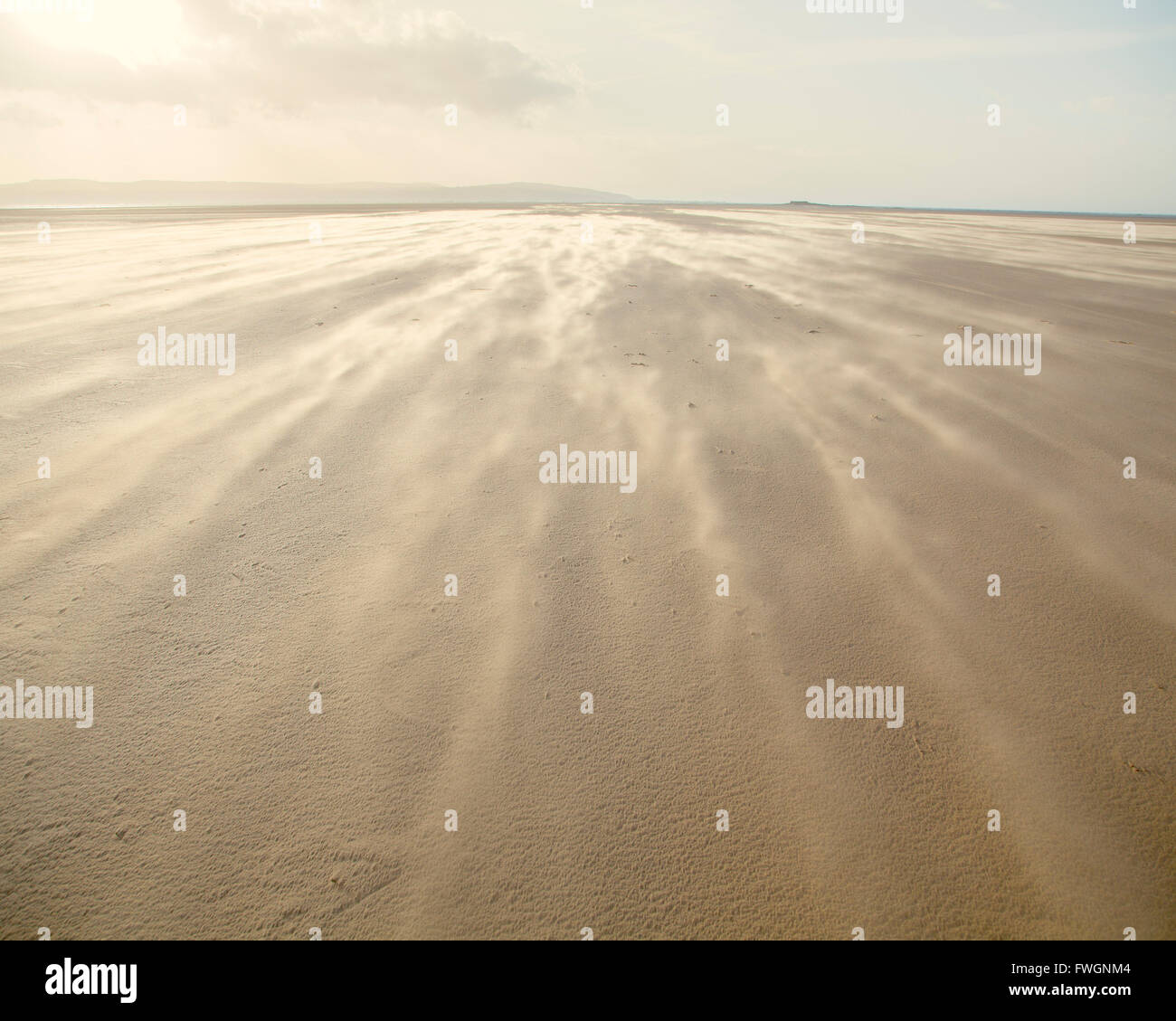 Shifting sands creating a cloud underfoot as wind whistles across the beach, West Kirkby, Wirral, England, United Kingdom Stock Photo