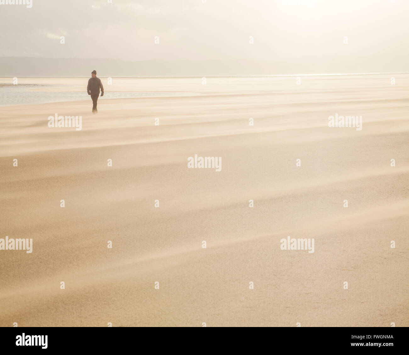 Man walking across a windy beach with dry shifting sands creating a cloud underfoot, West Kirkby, Wirral, England Stock Photo