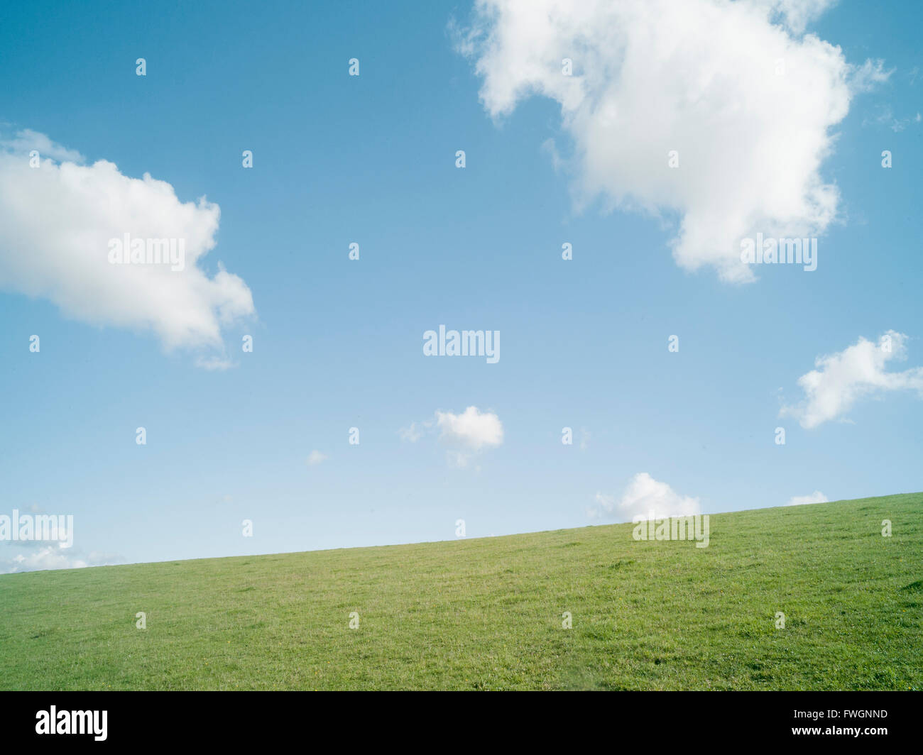 field and clouds on a summers day, United Kingdom, Europe Stock Photo