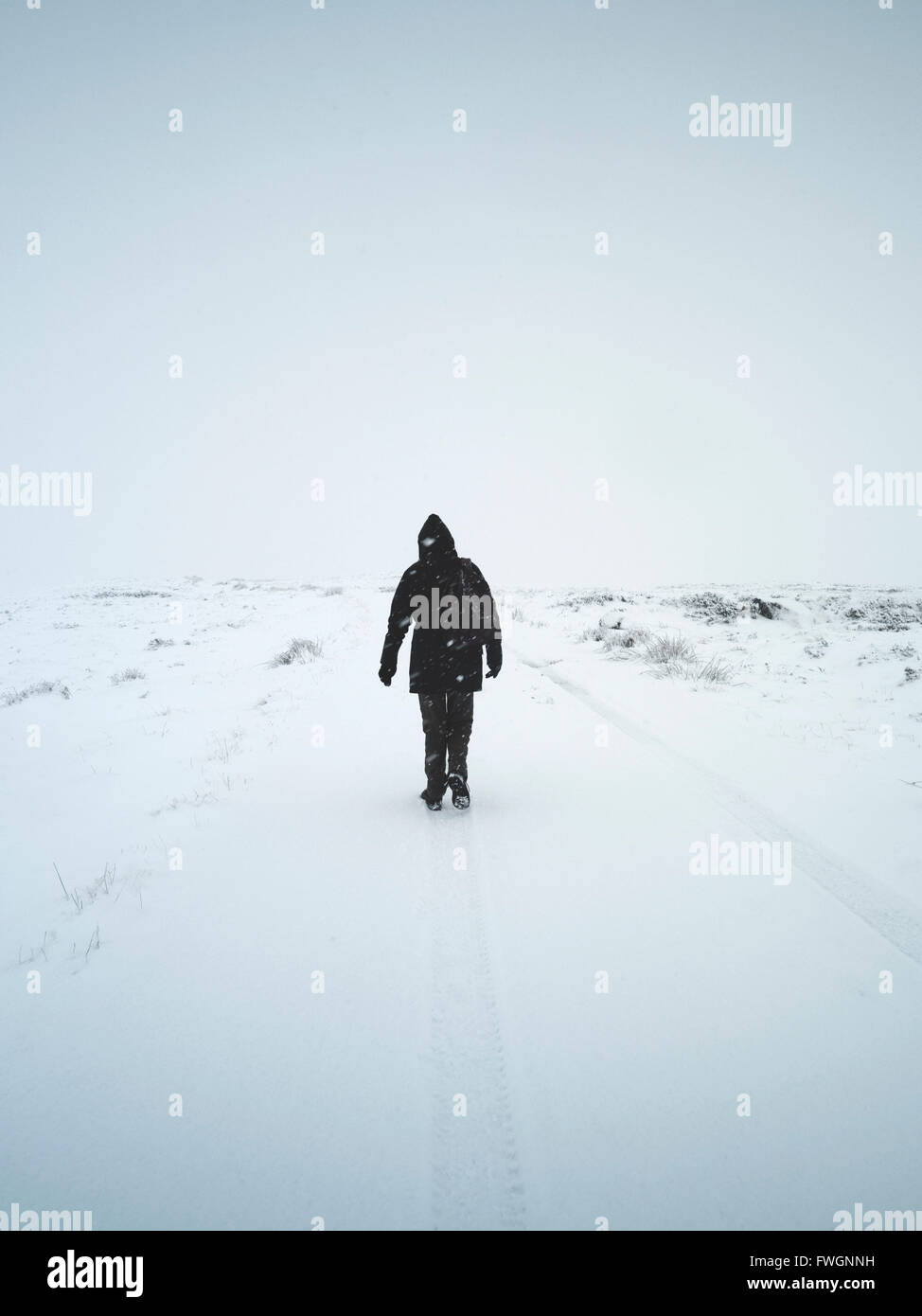 A lone woman walks through a snowstorm, Scotland, United Kingdom, Europe Stock Photo