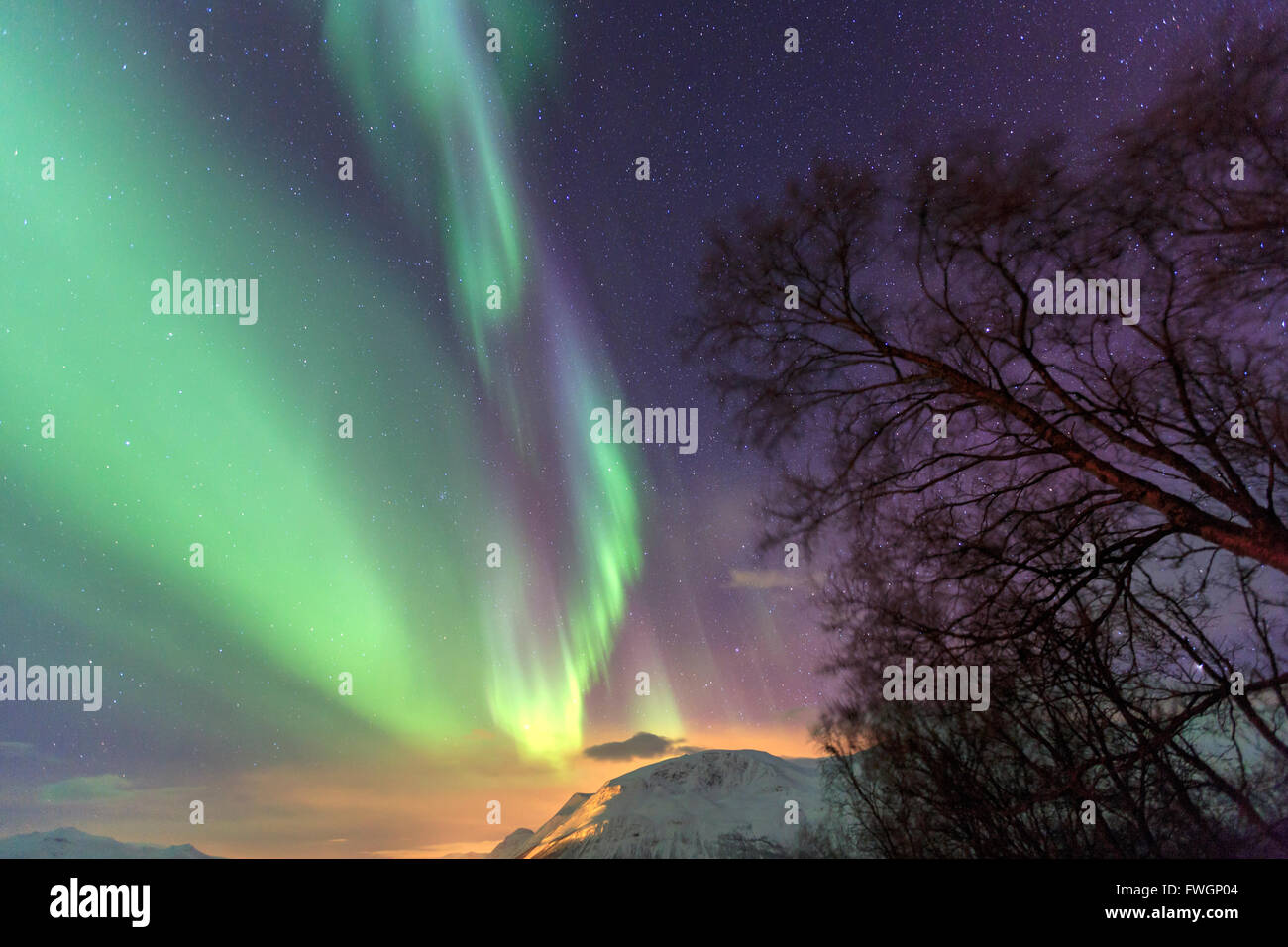 Northern Lights on the icy landscape of Svensby, Lyngen Alps, Troms, Lapland, Norway, Scandinavia, Europe Stock Photo