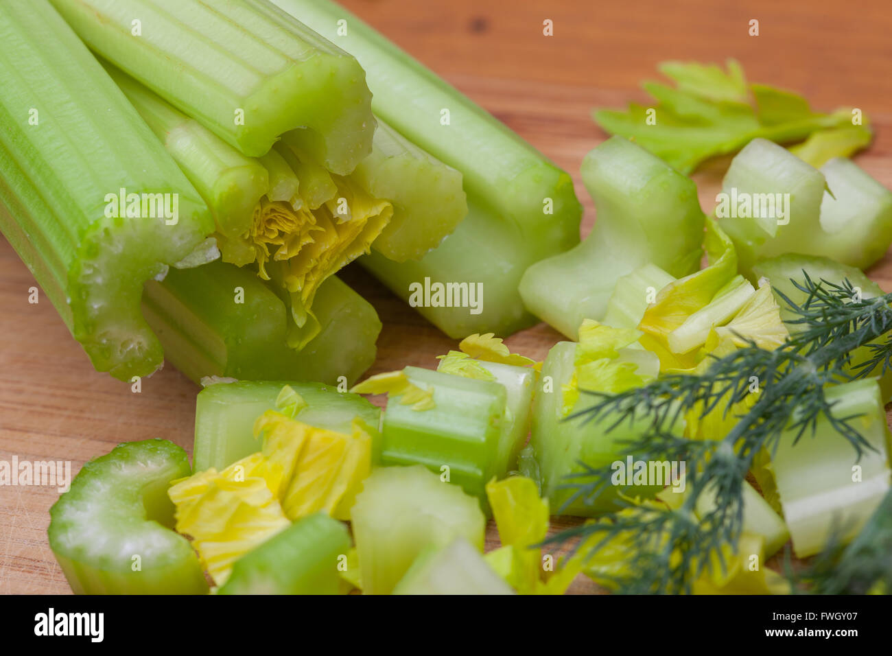 stalks of celery and fennel Stock Photo Alamy
