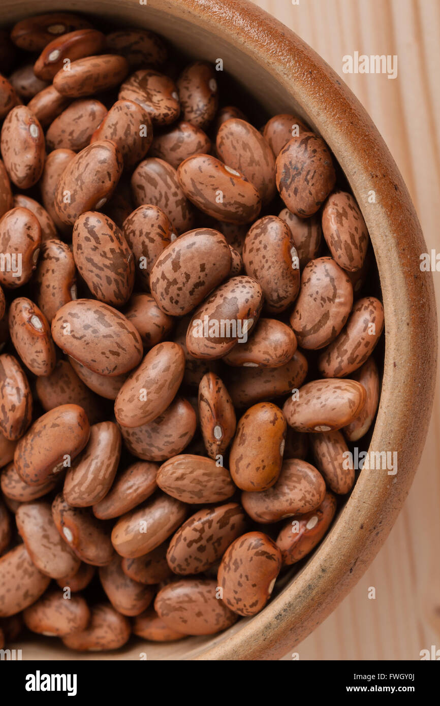 Pinto Beans a popular bean in the United States and northwestern Mexico