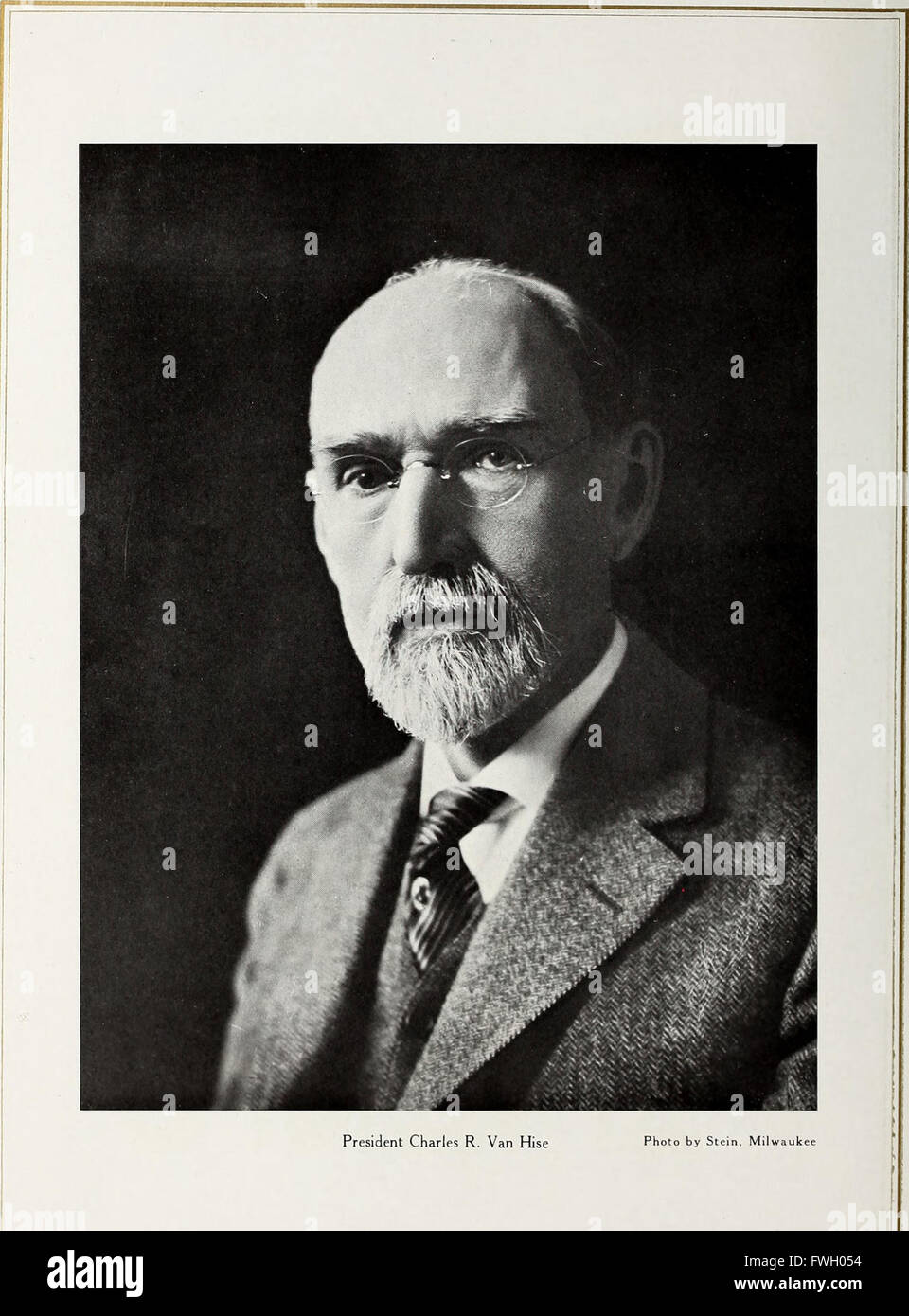 The badger (1916 Stock Photo Alamy