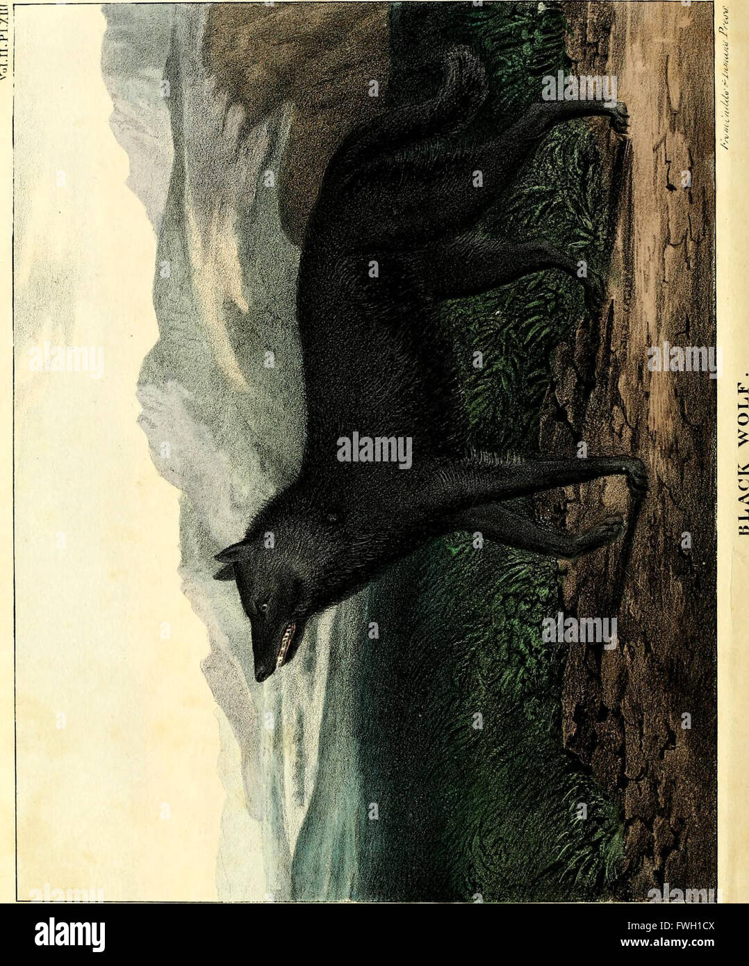 The of natural history and American rural sports (1830 Stock