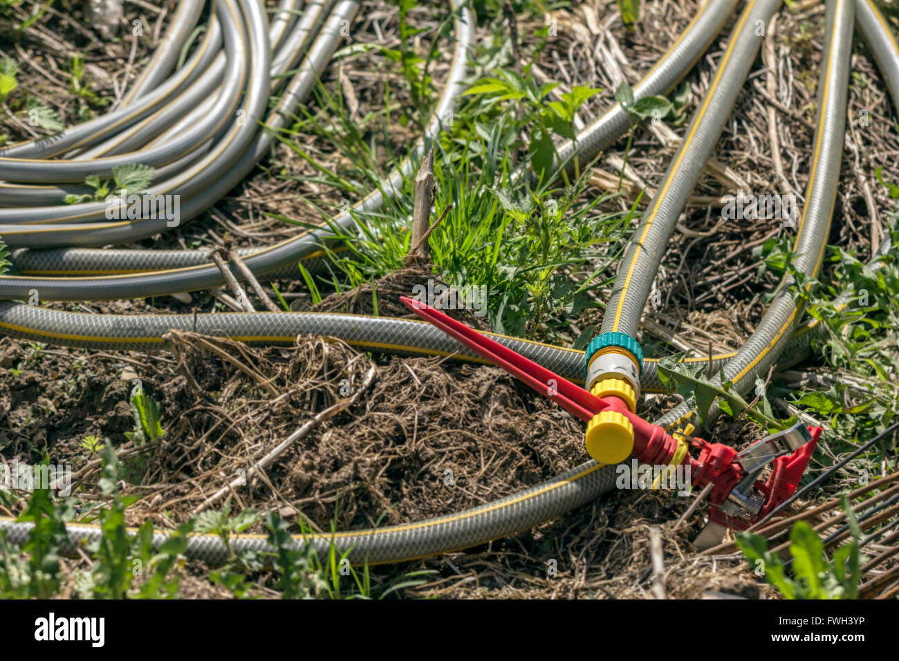 Hoses for watering garden at sunny spring day Stock Photo
