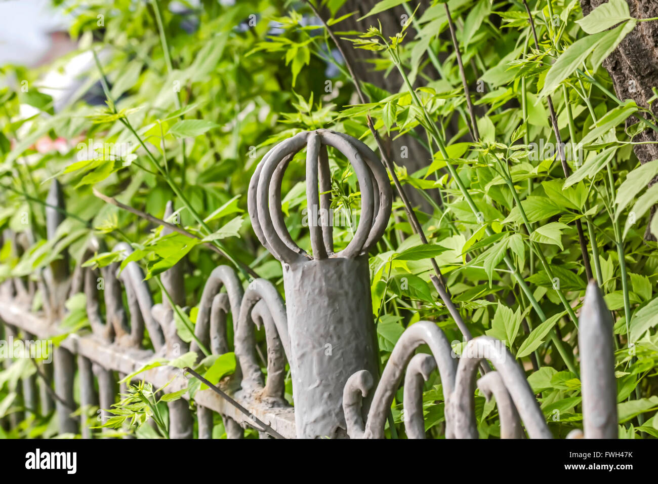 Old metal fence fence painted in gray at green bushes Stock Photo
