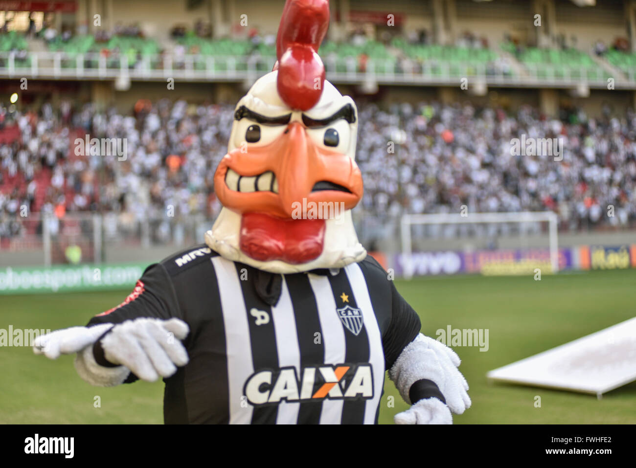 belo-horizonte-mg-06-12-2016-athletic-mg-mg-x-cruise-rooster